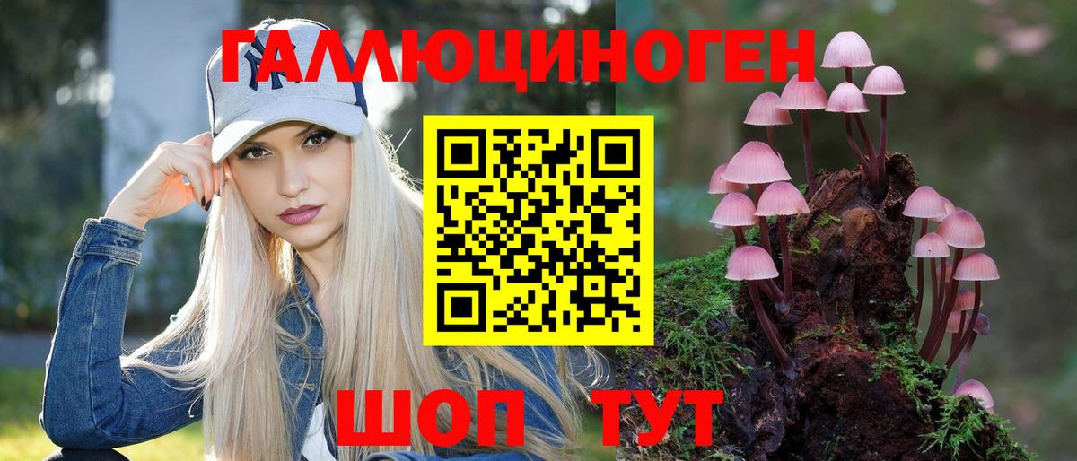 Псилоцибиновые грибы MAGIC MUSHROOMS  Псилоцибиновые грибы GOLDEN TEACHER  Донецк  Вход с VPN 