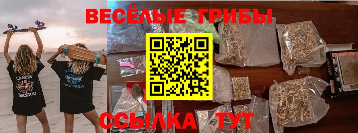 Галлюциногенные грибы GOLDEN TEACHER Донецк